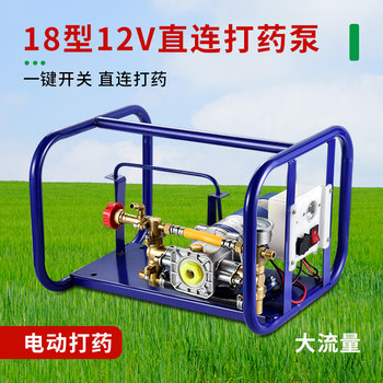 Portable Agricultural Electric Fruit Tree Sprayer 12V Battery Rechargeable High-Pressure Dual-Cylinder Plunger Pump