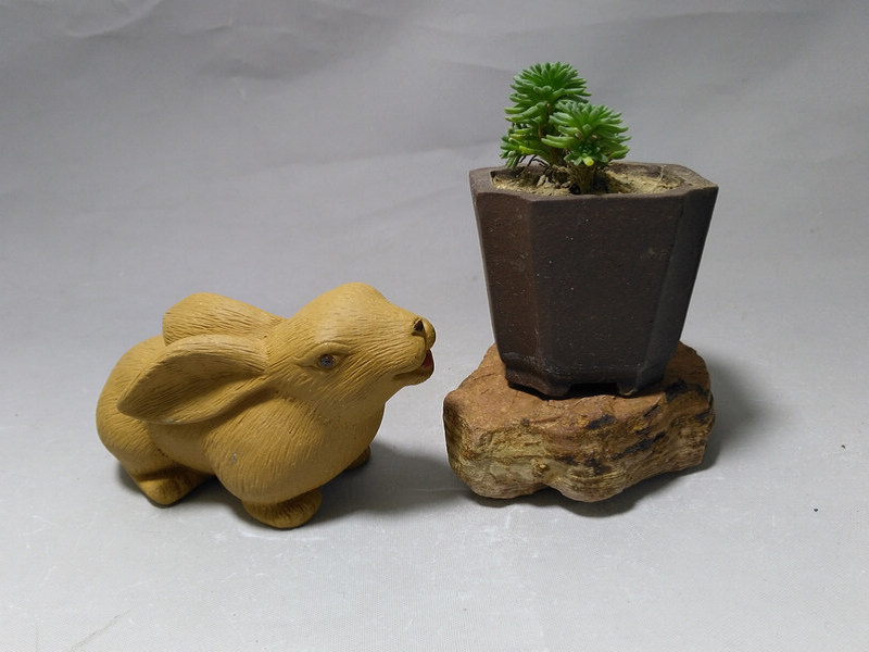 Bộ sưu tập để chơi Yixing cát màu tím trà pet điêu khắc đồ trang trí handmade chơi trà Vàng Thỏ thỏ Hoàng Đạo chất lượng cao phần bùn đồ đất nung