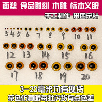 Animal specimen Artificial Eye Bird carving glass simulation manual eye Eagle carving bamboo pheasant red golden pheasant pheasant colorful pheasant