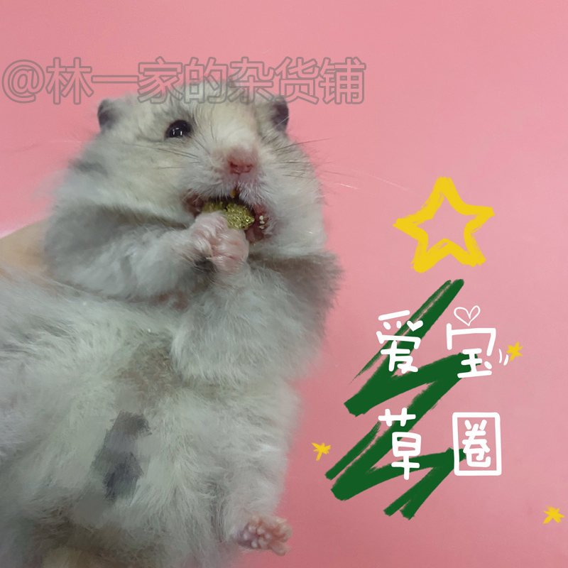 Love Treasure Grass Circle Split Hamster Snacks With Small Hamster Snacks Food Flowers Branch Rat Golden Silk Bear Grinding Supplies