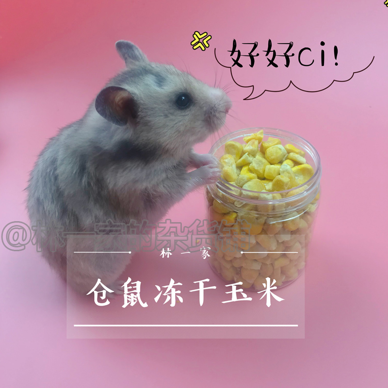 Hamster snacks hamster corn grain freeze-dried corn flower broth golden silk bear psychic powder Nourishing Canned Complementary 