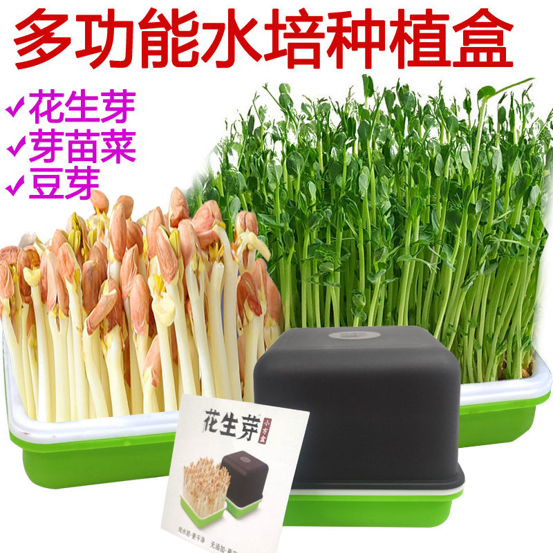 Peanut Sprout Cultivation Basin Raw Bean Sprout Water Bacon Sprout Seminate Sprout nursery Seedling Vegetable Seedling Pan Bean Sprout Seed Planting Box