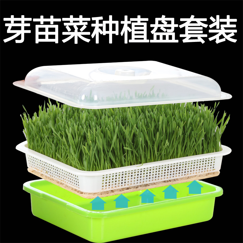 Bean Sprout germination basin Sprout Vegetable Cultivation Pan Cultivation Basin No Soil Cultivation Pea Seedling Planting Pan Germinator Sprout Nursery