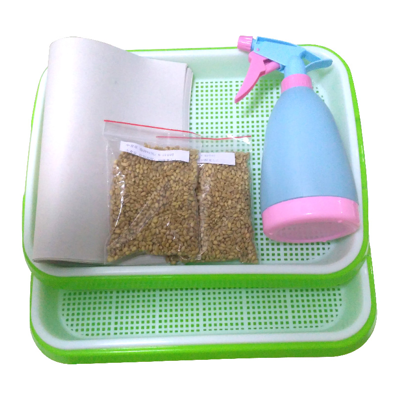 Wheat seedling grass planting paper planting sprouts seedlings encrypted seedling tray hydroponic seed seedling rack