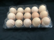 Spot 15 medium transparent blister egg gift box Supermarket special plastic egg convenient tray
