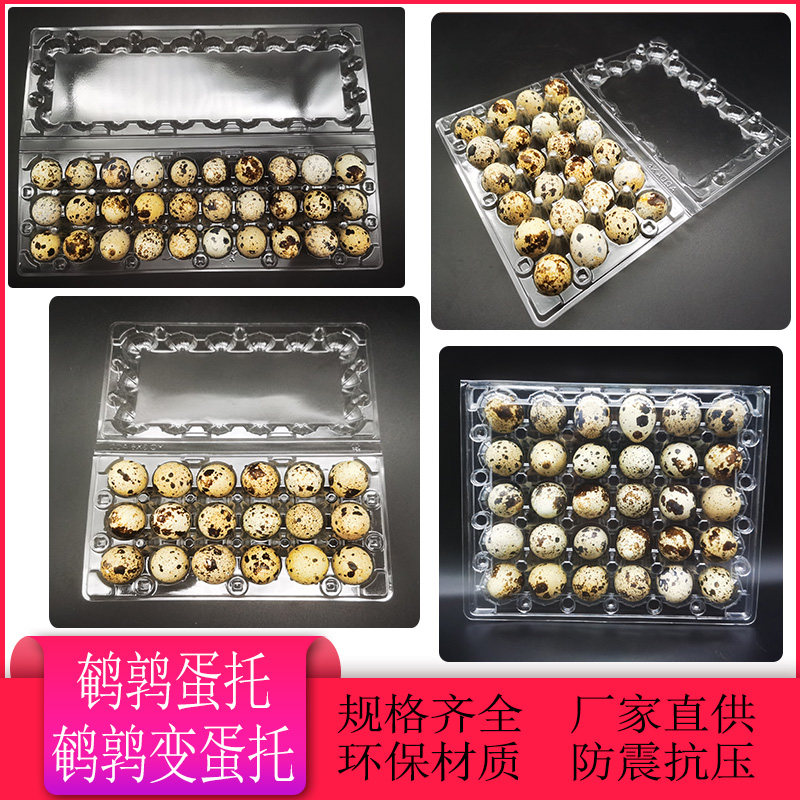 24 quail eggs Egg Plastic Egg 30 Quail Egg tray 12 Disposable Transparent Bird Egg Packing Box