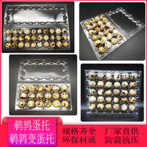 24 quail egg plastic egg tray 30 quail egg tray 12 disposable transparent bird egg packing box