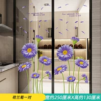 Голландская пара хризантемы