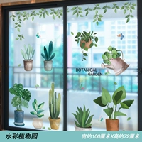 Акварельный ботанический сад