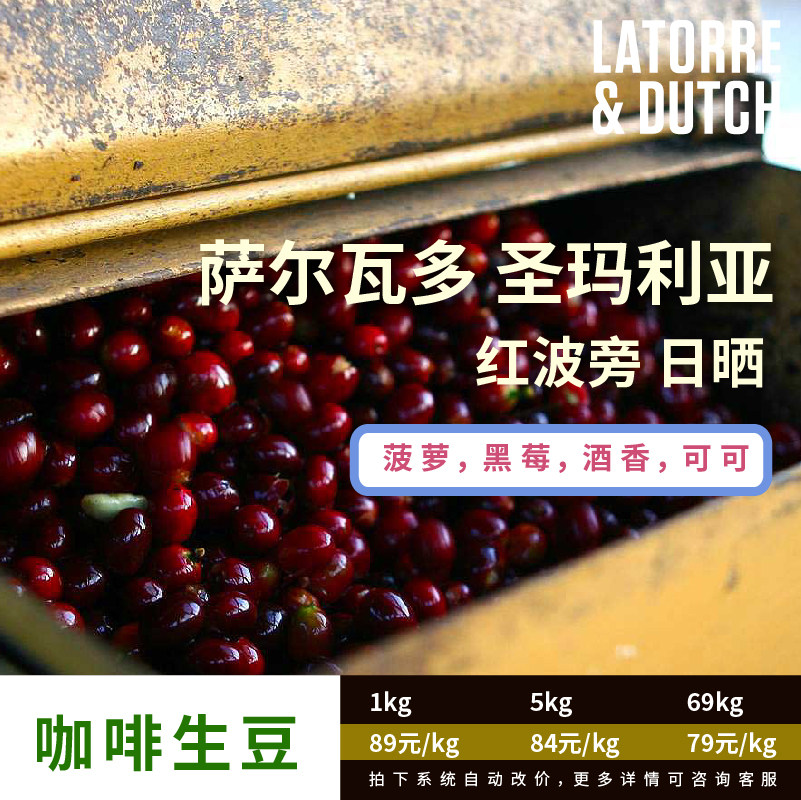 El Salvador Santa Maria Manor Red Bourbon Sun-dried Ecofang Green Beans 2021