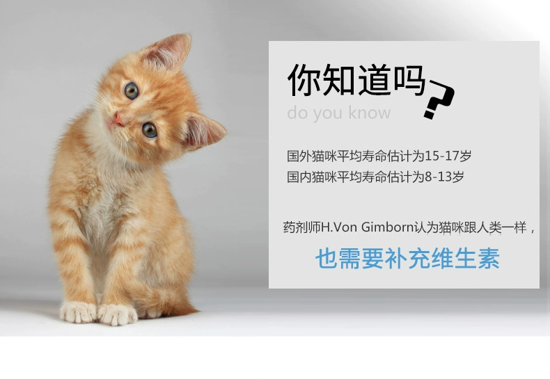 Thức ăn cho mèo nguyên con, cá, thịt, mèo mang thai, 1-4 tháng tuổi, cho con bú, mèo, mèo, thức ăn cho mèo, 5 kg - Cat Staples royal canin giá rẻ