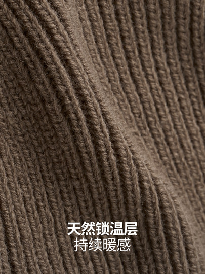 Nanend's New Merino Wool Blend Ski Hat for Men and Women, Warm and Breathable Plain Knitted Hat