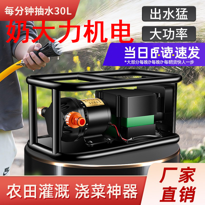 充电式大流量抽水泵抽水神器农田农用户外灌溉浇水机浇菜浇地农业