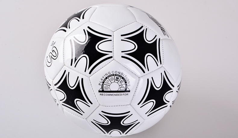 Ballon de foot - Ref 6509 Image 14
