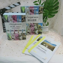 Yanggui Planting Moisturizing Surface Film Aloe Rose Little Daisy Cactus Tender Warm White Compact Mask