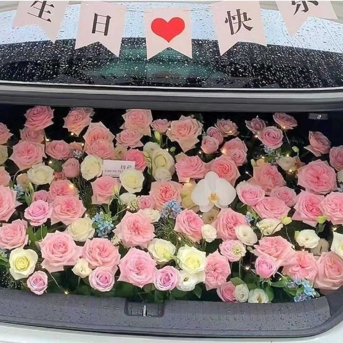 五只猫鲜花泥供应链