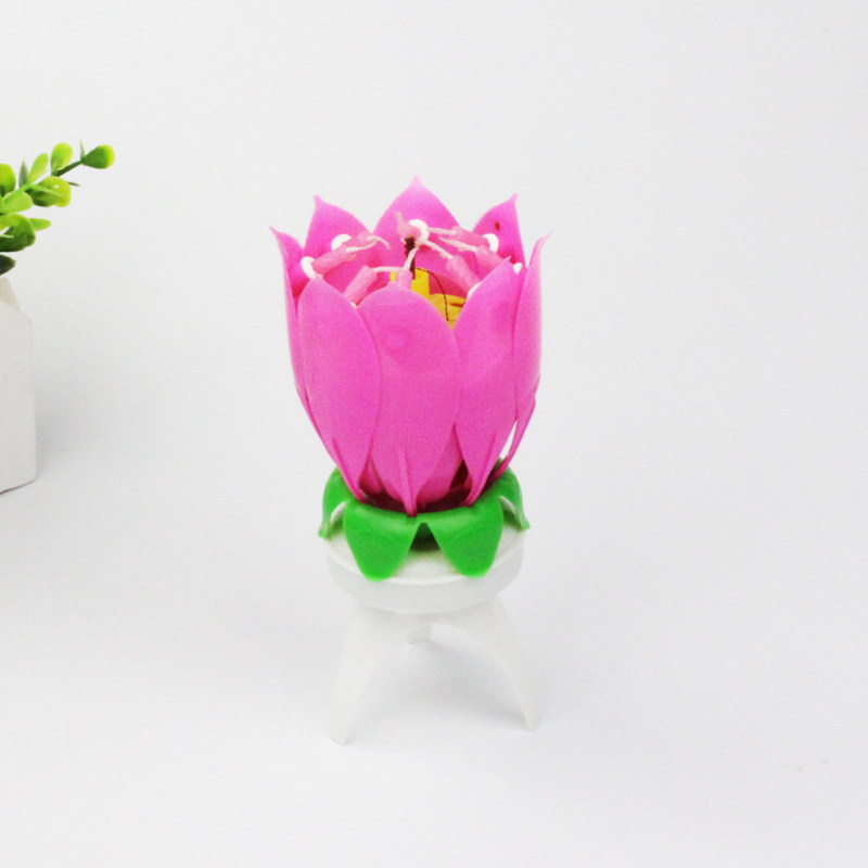 Bougie - Ref 2488355 Image 6