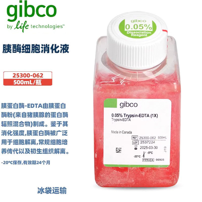 Gibco 25300-062 胰酶细胞消化液 25300062  500ml/瓶