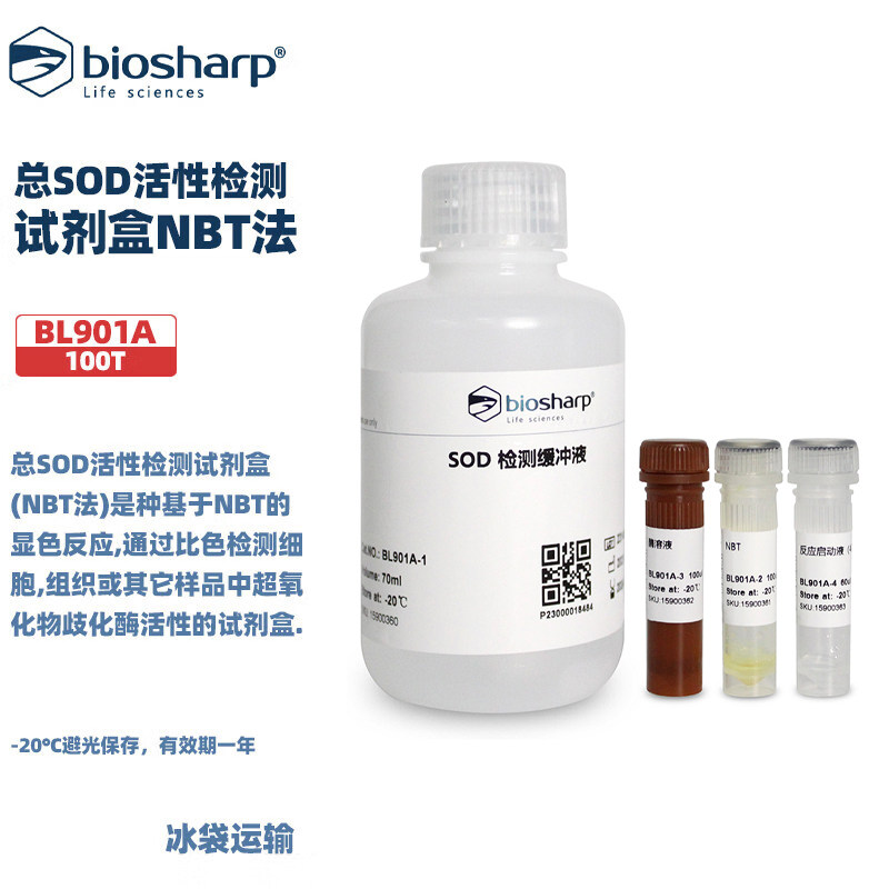 BIOSHARP 白鲨 BL901A 总SOD活性检测试剂盒（NBT法）100T/盒 1盒