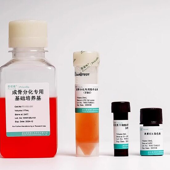 普诺赛  兔骨髓间充质干细胞成骨/成软骨/成脂 诱导分化培养基