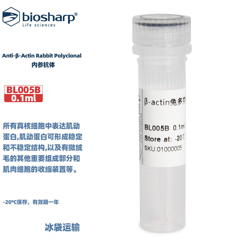 白鲨BL005B Anti-&beta;-Actin Rabbit Polyclonal内参抗体 0.1ml/支