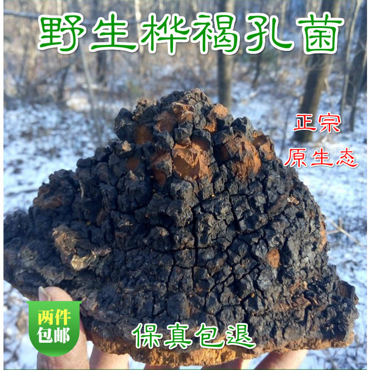 Wild Birch betuling Changbai Mountain Birch tears Birch yellow origin direct sale 250g can be cut