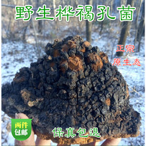 Wild Birch betuling Changbai Mountain Birch tears Birch yellow origin direct sale 250g can be cut