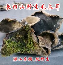 Changbai Mountain wild hairy fungus wild white back fungus sand ear black fungus northeast black fungus dry goods 250g