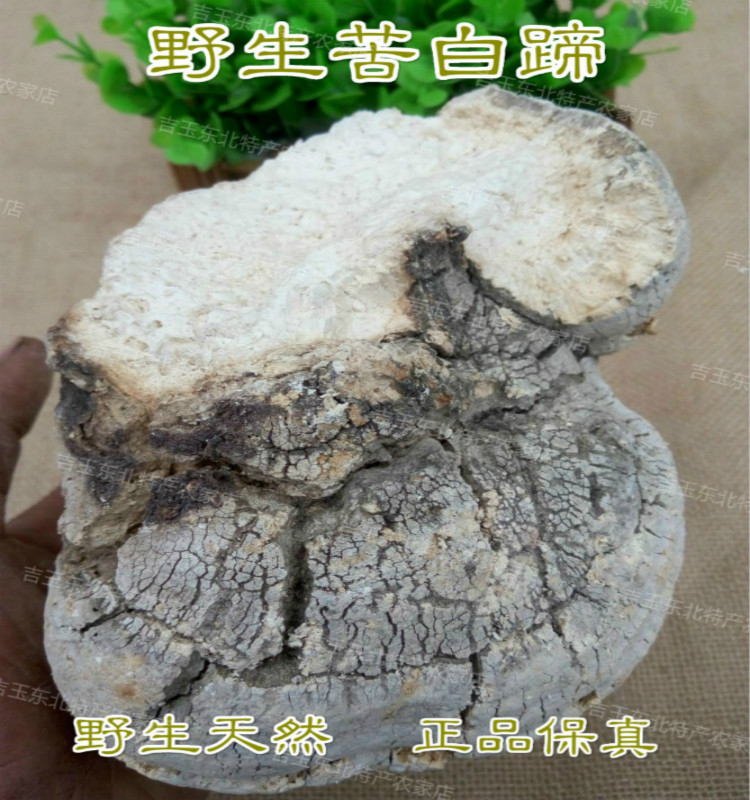 Wild Bitter White Hoof Ali Red Medicinal Pseudomonas Pseudomonas White Ganoderma 250g can be cut into pieces for free