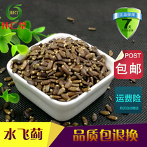 Silymarin 500g Chinese Herbal medicine Silymarin Seed Silymarin Seed Milk Thistle seed Mouse skin