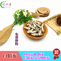 Chinese herbal medicine white stiff silkworm with stiff silkworm with 500g other stir-fried silkworm 