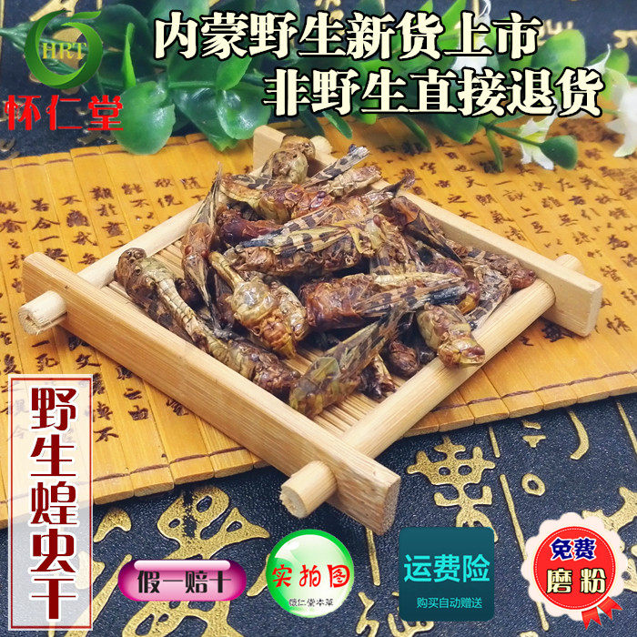 Locusts dry leaners Grasshoppers Dry Painting Brows for free Pink Birds feed with crickets Traditional Chinese herbal medicine 500 gr