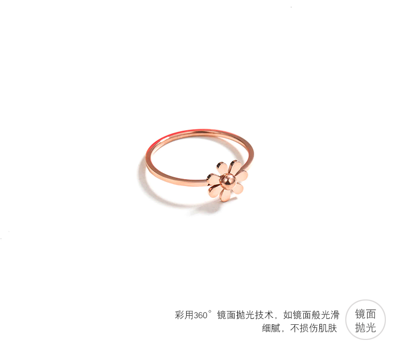 Bague Femme en Acier au titane - Ref 3086715 Image 19