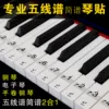 Товары от 煦然乐器专营店