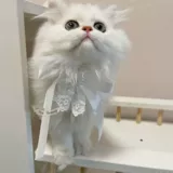 Шарф, белый кружевной чокер, нагрудник с бантиком