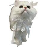 Шарф, белый кружевной чокер, нагрудник с бантиком