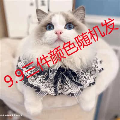 【9.9 for two pieces 】 Cat scarves, pet collars, bells, bows, stuffed dolls, bow ties, lace, dog saliva wipes