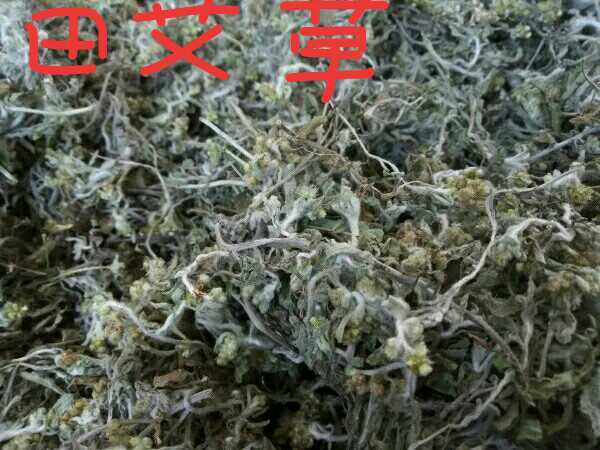 2022 Zhengtai Aiwan Tian Aika Tian Aiya Tian used to make the raw material 500g of Aika