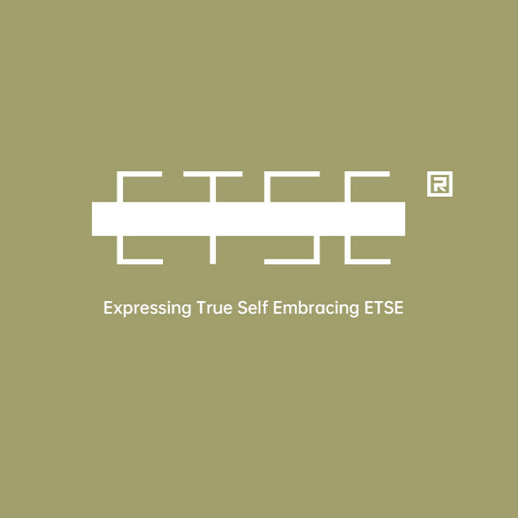 ETSE线上商城的LOGO
