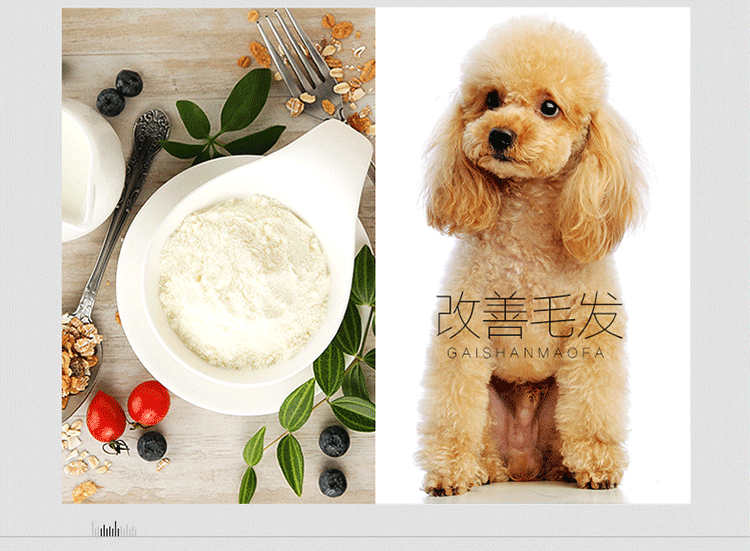 Pet đặc biệt sữa dê sữa chó con chó con sơ sinh lông vàng mèo dinh dưỡng chó con chó con mạnh mẽ bổ sung canxi xương - Cat / Dog Health bổ sung sữa cho chó trưởng thành