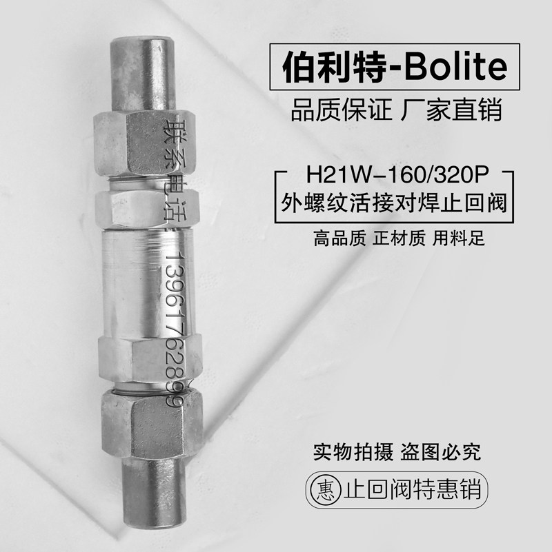 H21W-64P 100P 160P 320P High pressure stainless steel 304 external thread live joint butt welding check valve backstop