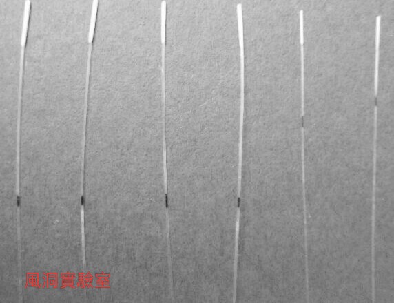 MCAO 线栓 大鼠 10根/盒 （250-280g，3cm）适用动物病理操作实验