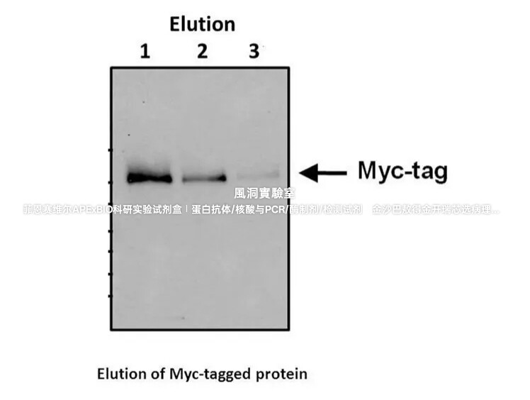 APExBIO标签蛋白 c-Myc tag Peptide，c-Myc标签肽，EQKLISEEDL肽