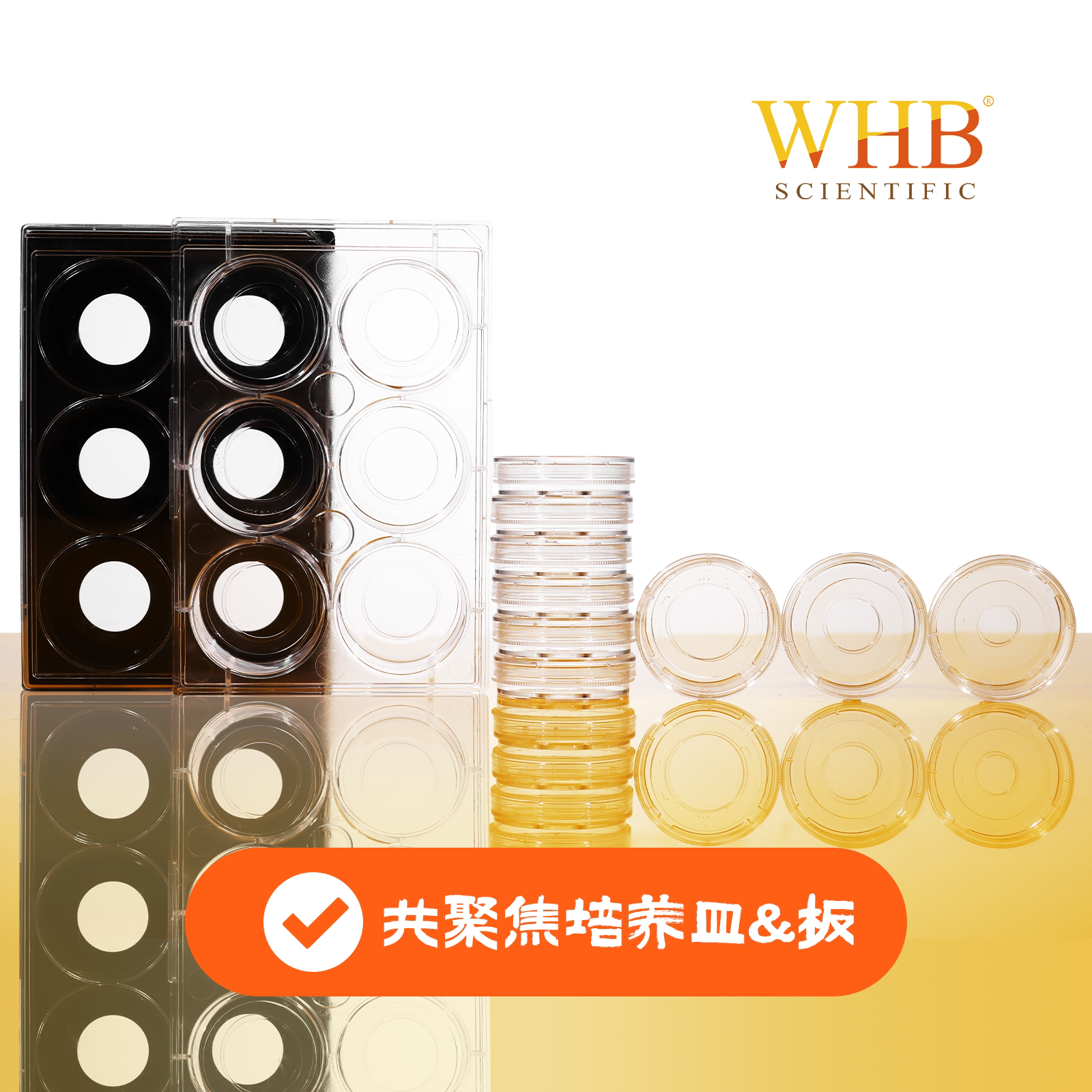 WHB卧宏TC/未TC处理35mm共聚焦培养皿 玻底直径10/13/14/20mm灭菌