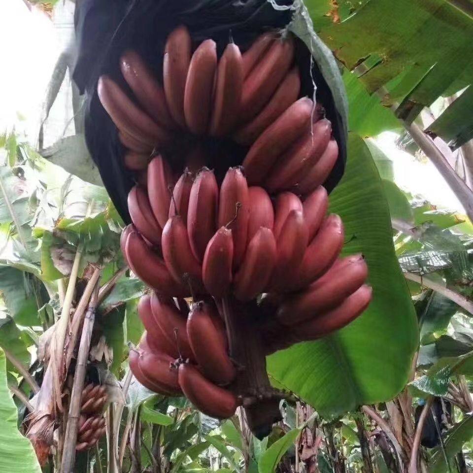 6桂小舍