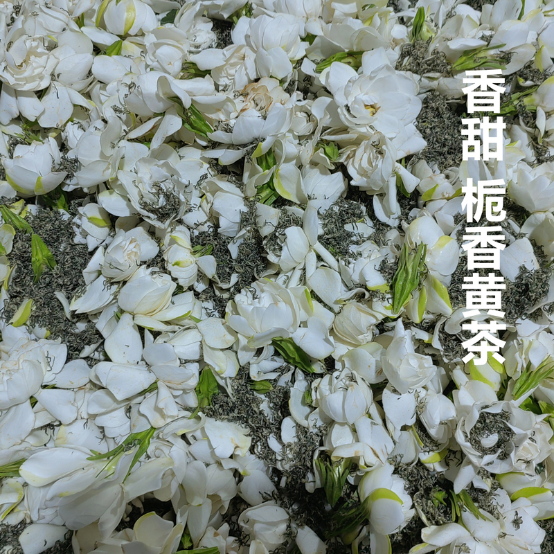 Wang Deming [Gardenia Yellow Tea] Gardenia Flower Tea Yellow Tea with Rich Fragrance, Original Leaves for Cold Brewing, Gardenia Flower Tea 100g