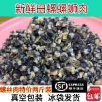 Shunfeng fresh Weishan Lake Wild Field snail meat screw meat two catties clear water snail meat snail powder special purpose