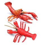 Моделирование настоящего сердца пресноводных кротов игрушек членисторонние модель Керри Оригинальные детские науки и образование