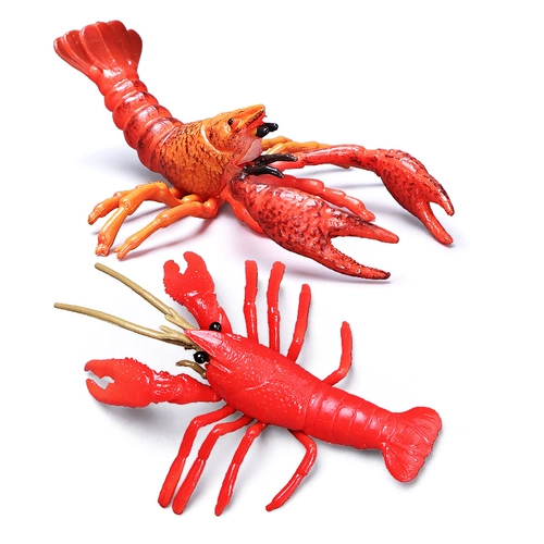 Моделирование настоящего сердца пресноводных кротов игрушек членисторонние модель Керри Оригинальные детские науки и образование