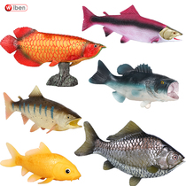 Simulation marine animal model salmon toy bass carp goldfish freshwater children Boy cognitive ornaments
